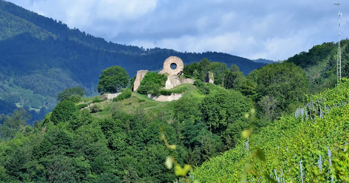 Ruines du château d'Engelbourg à Thann